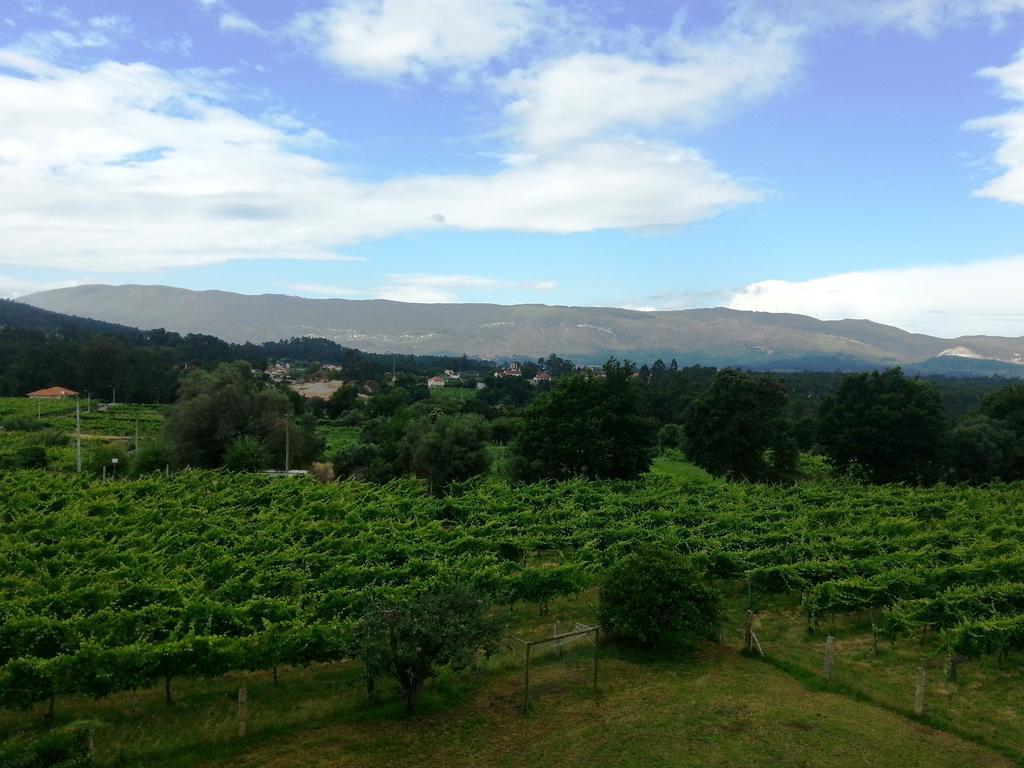 Villa Quinta Da Teimosa à Monção Extérieur photo