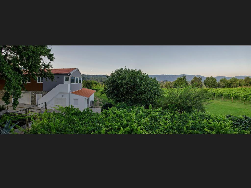 Villa Quinta Da Teimosa à Monção Extérieur photo